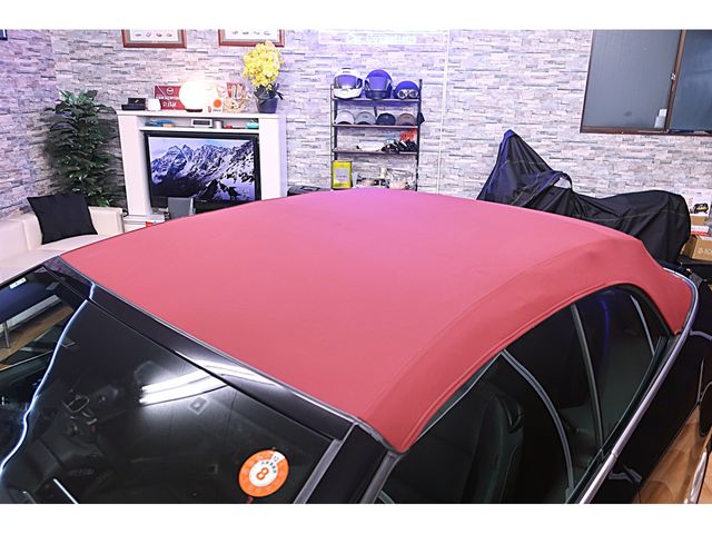 VOLKSWAGEN GOLF OPEN 2012 Image 31