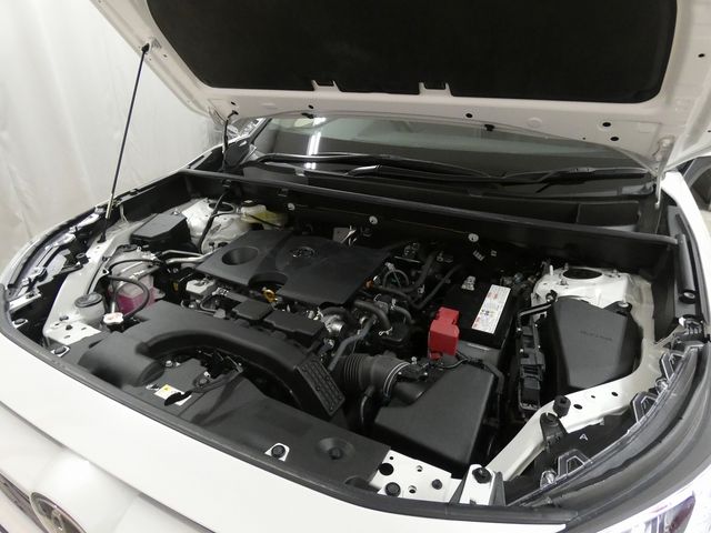 TOYOTA RAV4 4WD 2020 Image 31
