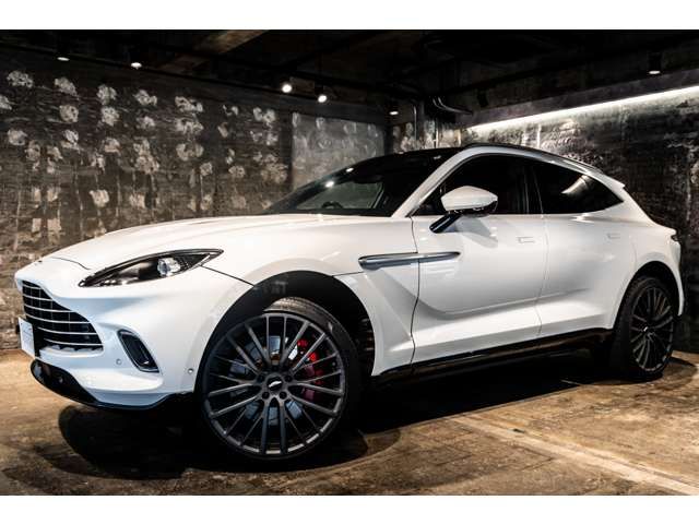 ASTON MARTIN SUV 2023 Image 31