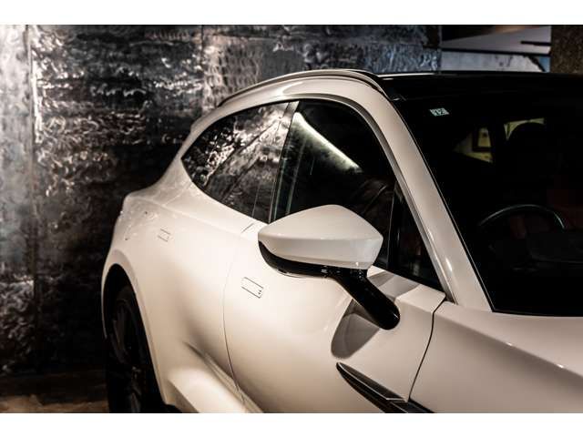 ASTON MARTIN SUV 2023 Image 31