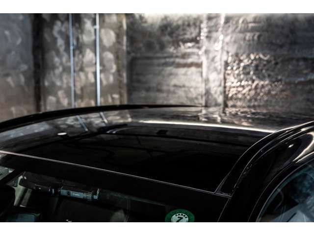 ASTON MARTIN SUV 2024 Image 31