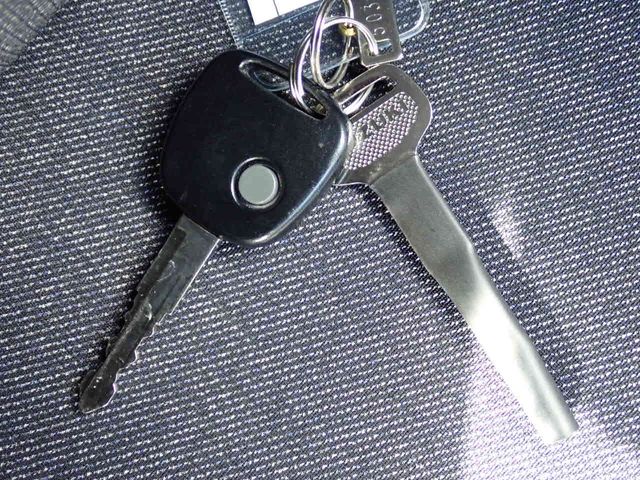 SUZUKI ALTO 2024 Image 31