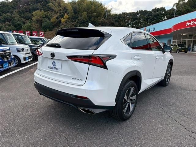TOYOTA LEXUS NX300 2018 Image 31