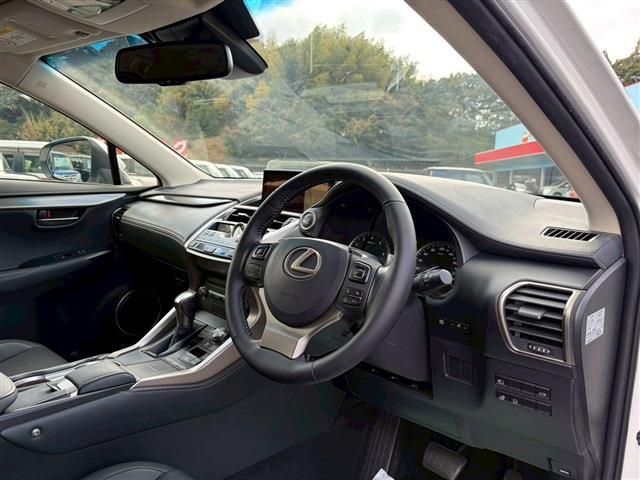 TOYOTA LEXUS NX300 2018 Image 31