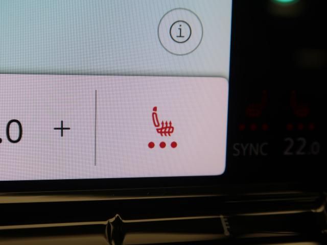 VOLKSWAGEN GOLF VARI 2024 Image 31