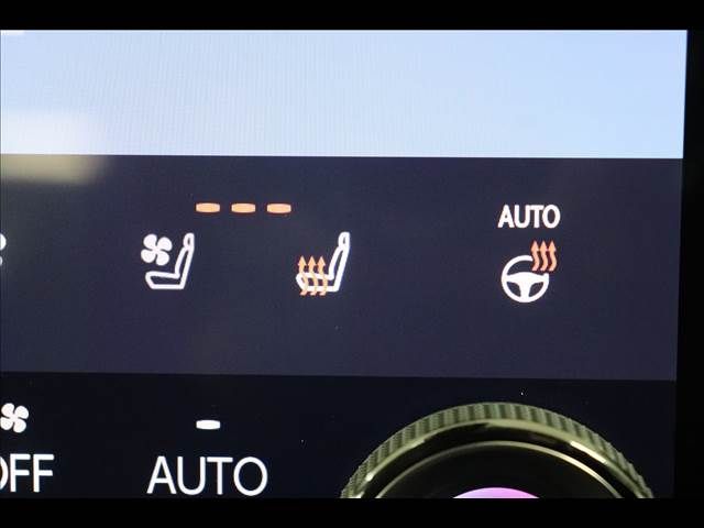 TOYOTA LEXUS NX350H 2023 Image 31