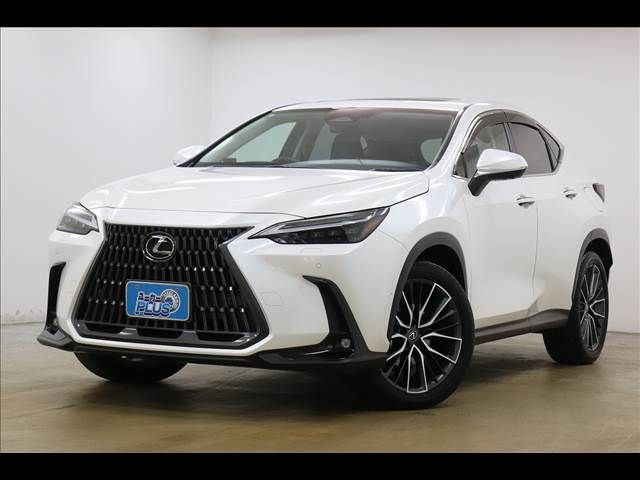 TOYOTA LEXUS NX350H 2023 Image 31