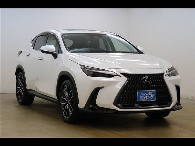 TOYOTA LEXUS NX350H 2023 Image 31