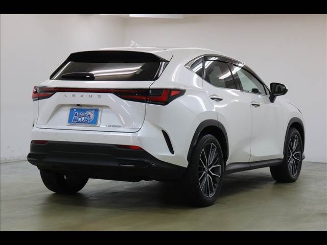 TOYOTA LEXUS NX350H 2023 Image 31
