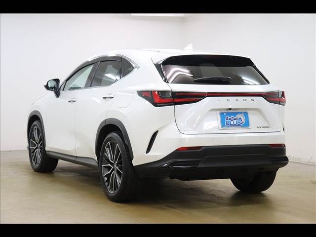 TOYOTA LEXUS NX350H 2023 Image 31