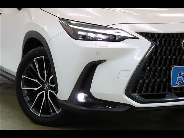 TOYOTA LEXUS NX350H 2023 Image 31