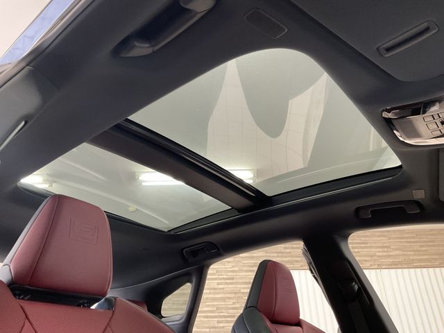 TOYOTA LEXUS RX500H 2024 Image 31