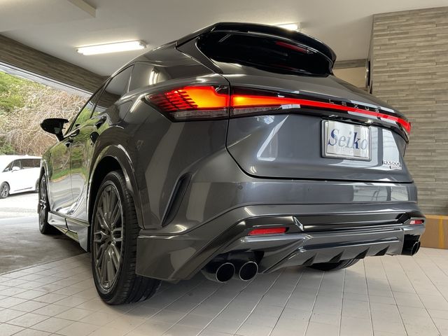 TOYOTA LEXUS RX500H 2024 Image 31