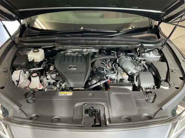 TOYOTA LEXUS RX500H 2024 Image 31