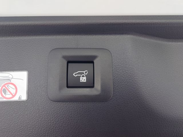 TOYOTA ALPHARD HYBRID 2023 Image 31