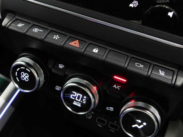 RENAULT LUTECIA 2020 Image 31