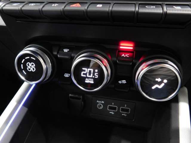 RENAULT LUTECIA 2020 Image 31