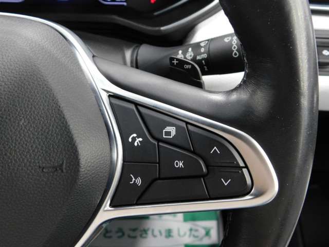 RENAULT LUTECIA 2020 Image 31