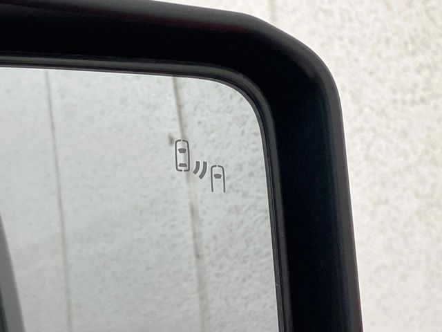 TOYOTA LANDCRUISER 250 2024 Image 31