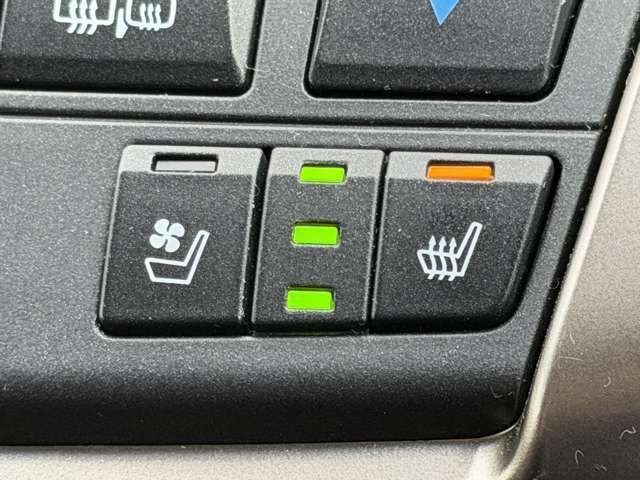 TOYOTA LEXUS NX300H 2015 Image 31