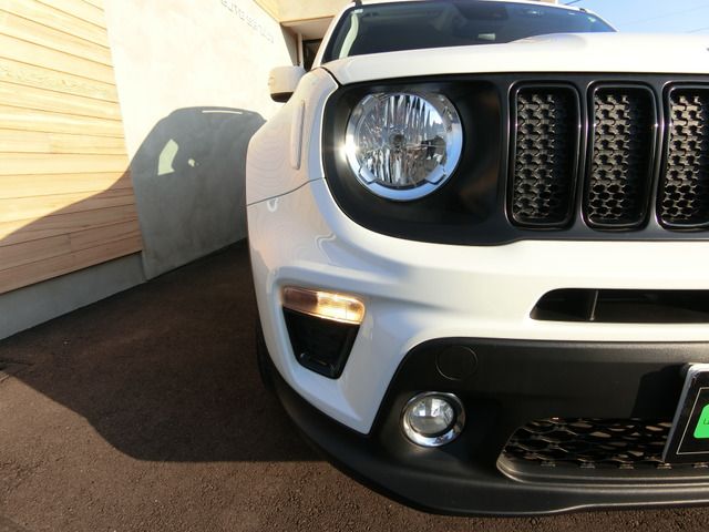 JEEP RENEGADE 2020 Image 31