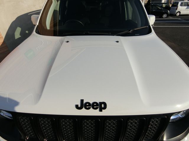 JEEP RENEGADE 2020 Image 31