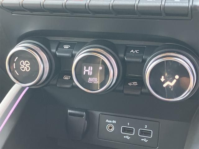 RENAULT LUTECIA 2021 Image 31