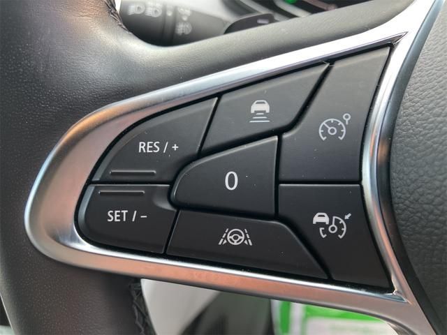 RENAULT LUTECIA 2021 Image 31