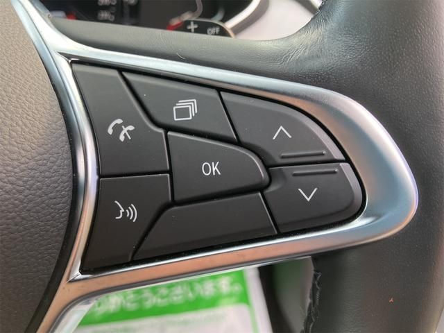 RENAULT LUTECIA 2021 Image 31