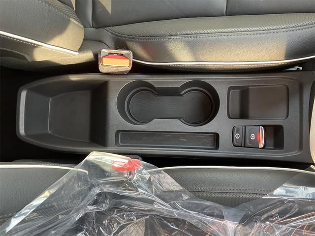 RENAULT LUTECIA 2021 Image 31