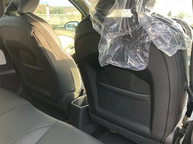 RENAULT LUTECIA 2021 Image 31