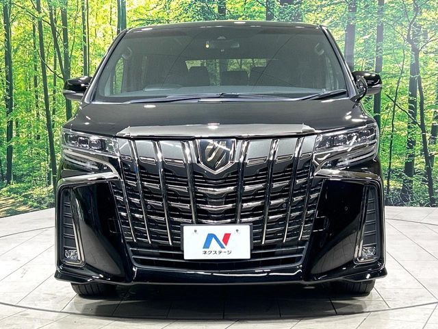 TOYOTA ALPHARD 2020 Image 31