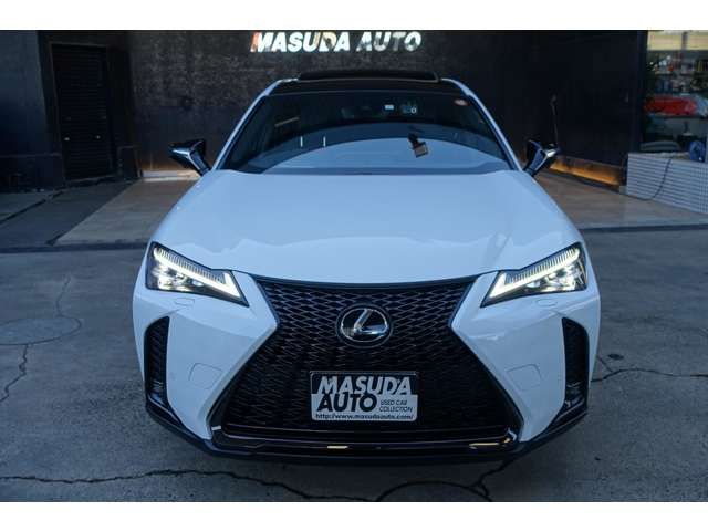 TOYOTA LEXUS UX200 2023 Image 31