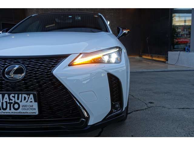 TOYOTA LEXUS UX200 2023 Image 31