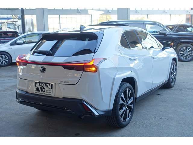 TOYOTA LEXUS UX200 2023 Image 31