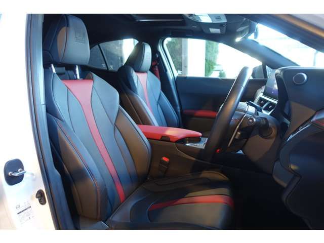 TOYOTA LEXUS UX200 2023 Image 31