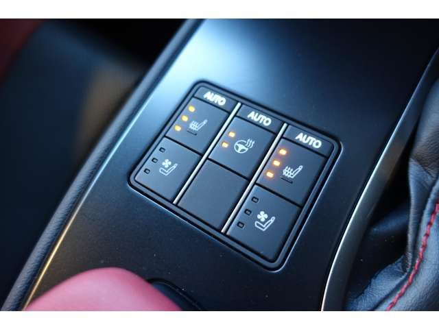 TOYOTA LEXUS UX200 2023 Image 31