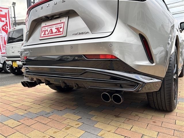 TOYOTA LEXUS NX350H 2021 Image 31