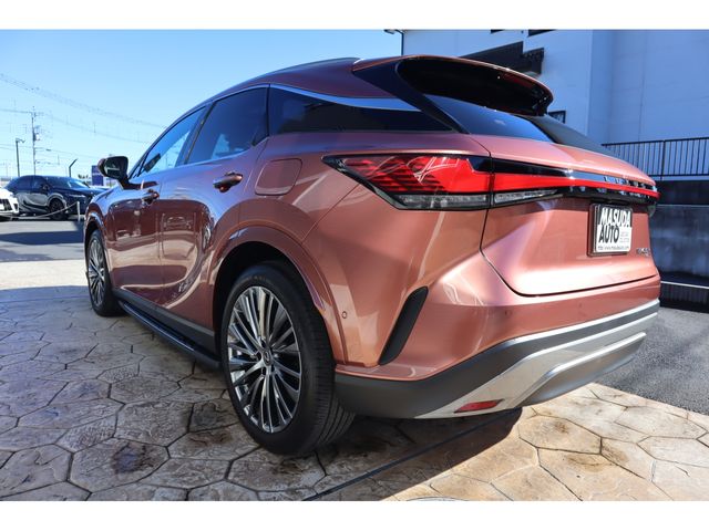 TOYOTA LEXUS RX450H+ 2023 Image 31