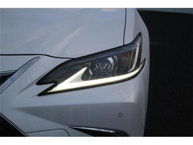 TOYOTA LEXUS ES300H 2020 Image 31