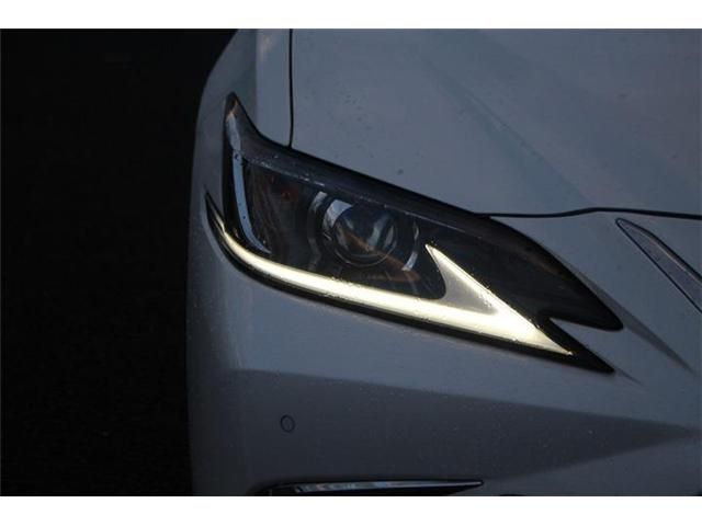 TOYOTA LEXUS ES300H 2020 Image 31