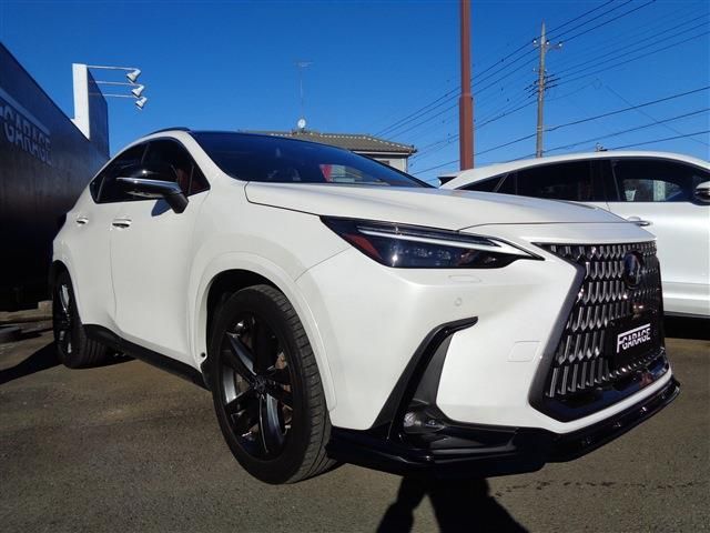 TOYOTA LEXUS NX250 2023 Image 31
