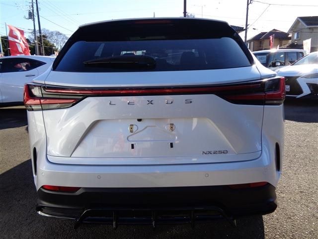 TOYOTA LEXUS NX250 2023 Image 31