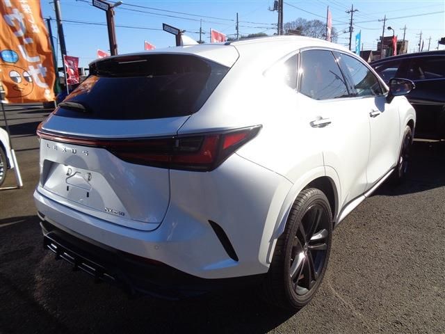 TOYOTA LEXUS NX250 2023 Image 31