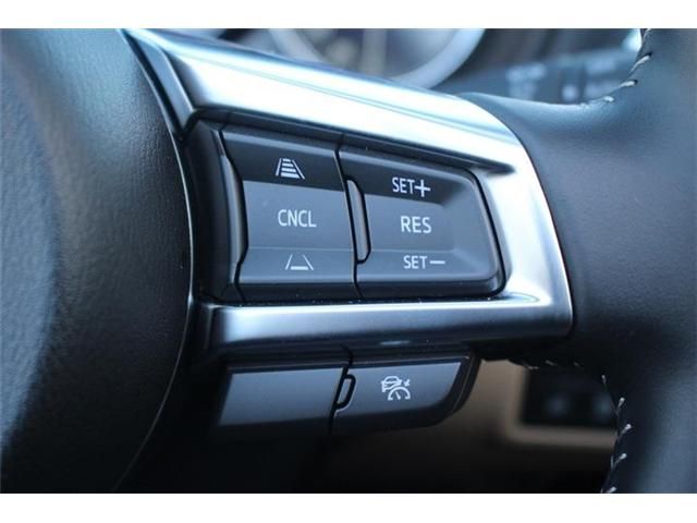 MAZDA ROADSTER 2024 Image 31