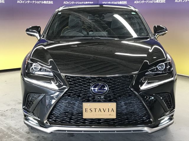 TOYOTA LEXUS NX300H 2020 Image 31