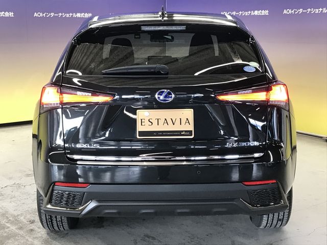 TOYOTA LEXUS NX300H 2020 Image 31