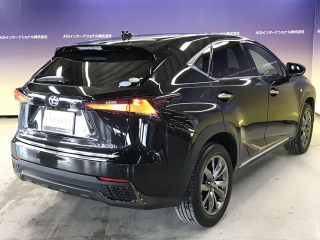 TOYOTA LEXUS NX300H 2020 Image 31