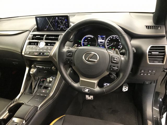 TOYOTA LEXUS NX300H 2020 Image 31