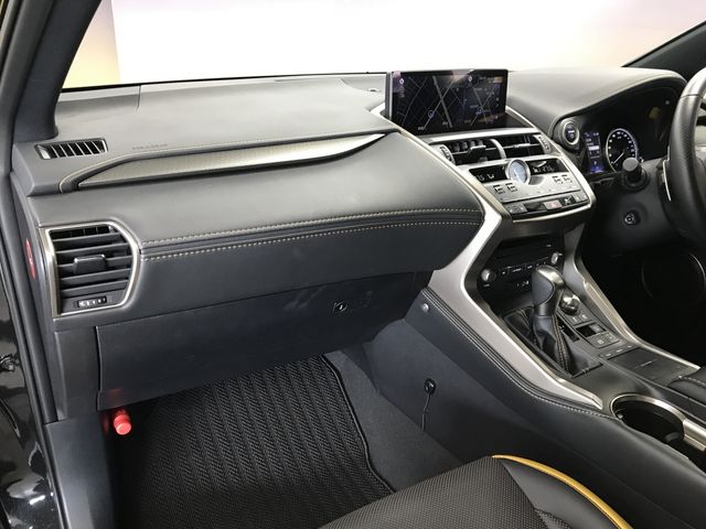 TOYOTA LEXUS NX300H 2020 Image 31